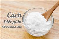 Những phương pháp diệt gián an toàn và hiệu quả 